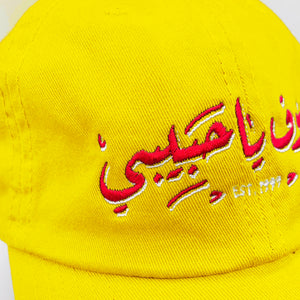 YHM CHICLETS - DAD HAT